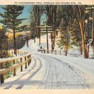 Pocono Mts, PA Postcard Lackawanna Trail Winter Scene (A778) Penna, Pennsylvania