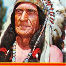 Pocatello, Idaho - Indian Chief - Continental Postcard (B357)