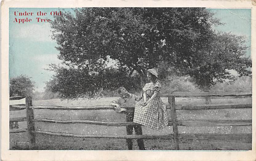 Under the Old Apple Tree- Romance Postcard (B421)