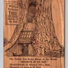 World Famous Tree House Redwood Highway California Vintage Postcard (eH29)