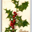 John Winsch Silk Holly & Berries Christmas Postcard (eH73)