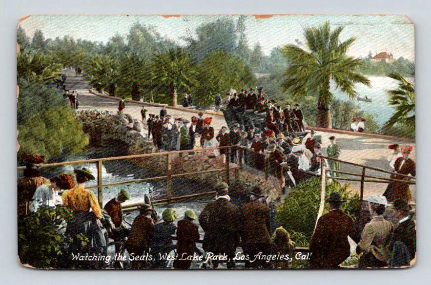 Los Angeles California Watching The Seals West Lake Park 1909 Postcard  (eH162)