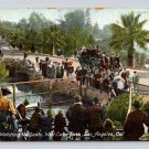 Los Angeles California Watching The Seals West Lake Park 1909 Postcard  (eH162)
