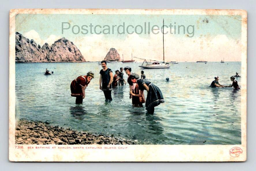 Santa Catalina Bathing At Avalon Postcard 1907  (eH194)