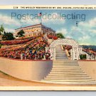 Catalina Island California Wrigley Residence Mt. Ada Avalon Postcard 1937 (eH200)