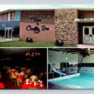 Streator Illinois Town and Country Inn & Pool Postcard 1968 (eH218)