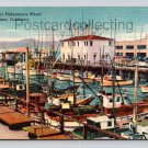 San Francisco California Fisherman's Wharf Fishing Fleet Postcard (eH228)