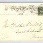 St. Patricks The Wearing of the Green, Shamrocks Postcard 1908  (eH250)