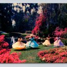 Cypress Gardens Florida Postcards- Lot of 5 (eH256)