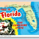 Florida Map The Sunshine State - Continental Postcard  1985 (eH268)