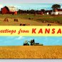 Kansas Yellow Banner Greetings Postcard 1969  (eH276)