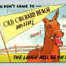 Old Orchard Beach Maine Donkey Yellow Pennant Comic Postcard (eH300)