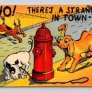 There's A Stranger In Town, Dogs, Hydrant Humor, Comic Postcard (eH308)