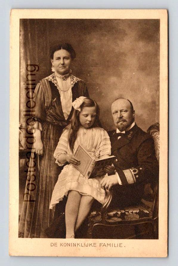 De Koninklijke Familie Royal Family Postcard (eH346)