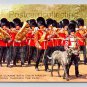 Irish Guards Marching With Mascot Through The Park Postcard (eH348)