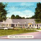 Bardstown Kentucky Wilson's Motel Postcard (eH360)