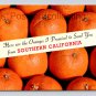 Greetings From Southern California White Banner Oranges Postcard 1959 (eH369)