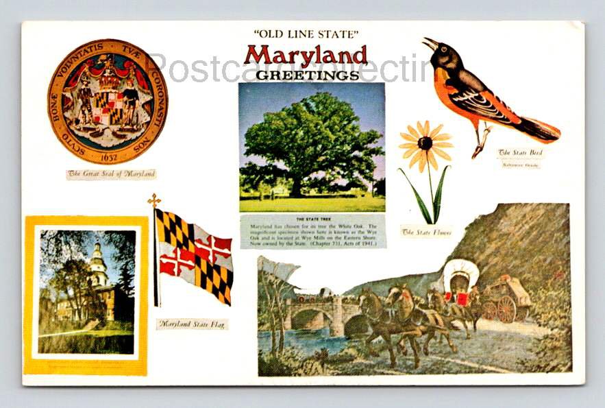 Welcome to Maryland Multi View Postcard (eH385)