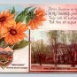 Nevada State Flower Sunflower Postcard (eH401)