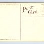 Vintage Wistaria In Bloom California Postcard (eH551)