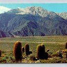 Mt San Jacinto From Devil's Garden Cactus California Postcard (eH567)