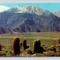 Mt San Jacinto From Devil's Garden Cactus California Postcard (eH567)