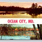 Ocean City Maryland White Banner 1969 Postcard (eH649)
