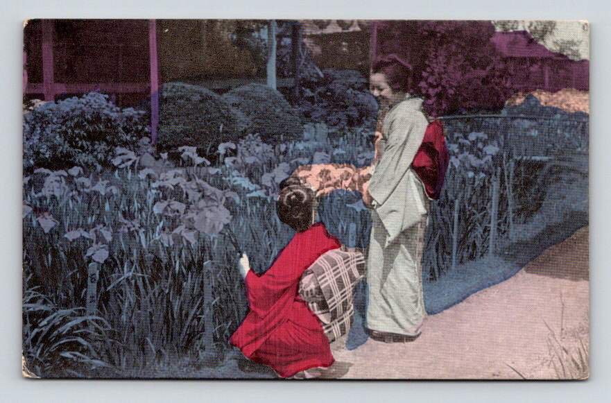 Horikiri Iris Garden Tokio, Tokyo Japan Vintage Postcard  (eH683)