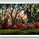Azalea Garden In Dixeland 1940 Linen Postcard  (eH737)