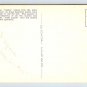Royal Lupin Fields California Linen Postcard (eH925)
