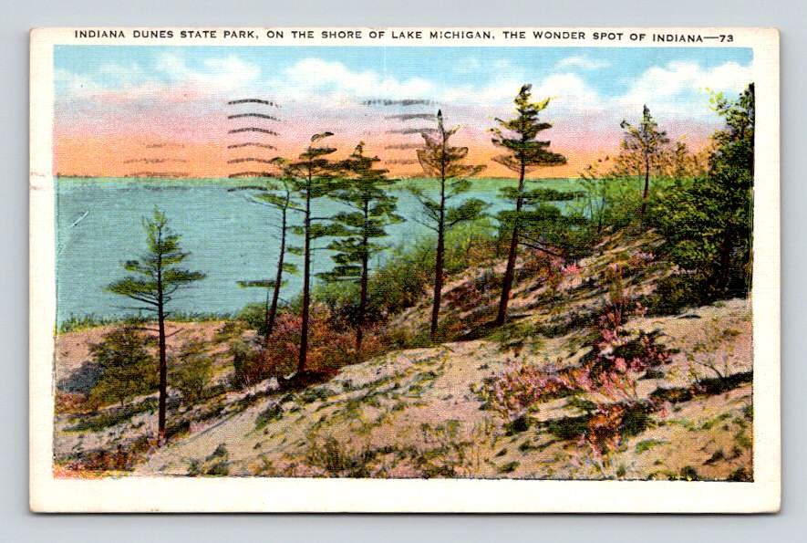 Lake Michigan, Indiana Dunes Park 1948 Postcard (eH1001)