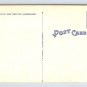 Myrtle Beach South Carolina Washington Park Race Track Linen Postcard (eH1039)