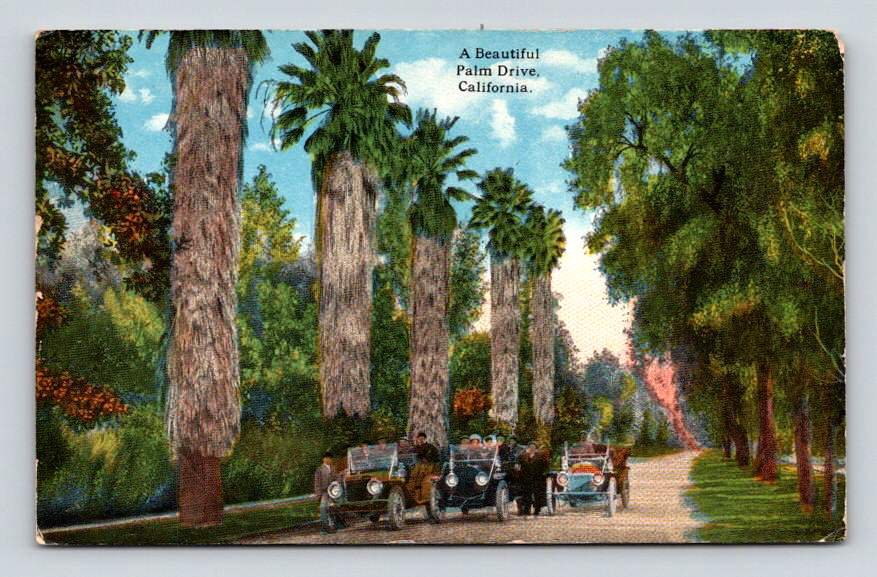 A Beautiful Palm Drive California Anitque Cars Postcard (eH1069)