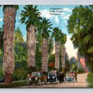 A Beautiful Palm Drive California Anitque Cars Postcard (eH1069)