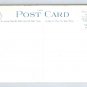 A Beautiful Palm Drive California Anitque Cars Postcard (eH1069)