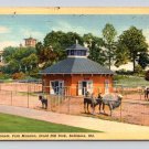 Baltimore Maryland Camels, Park Druid Hill 1942 Postcard (eH1081)