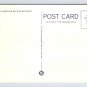Baltimore Maryland Cathedral and Y.M.C.A. Building Postcard (eH1087)