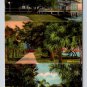 Postcard Tampa Florida Ballast Point Multi View (eH1111)