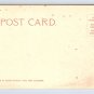 California Mariposa Lillies Postcard (eH1137)