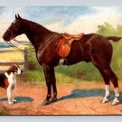 Tuck Oilette Favourites Horse, Dog N. Drummond Postcard (eL003)