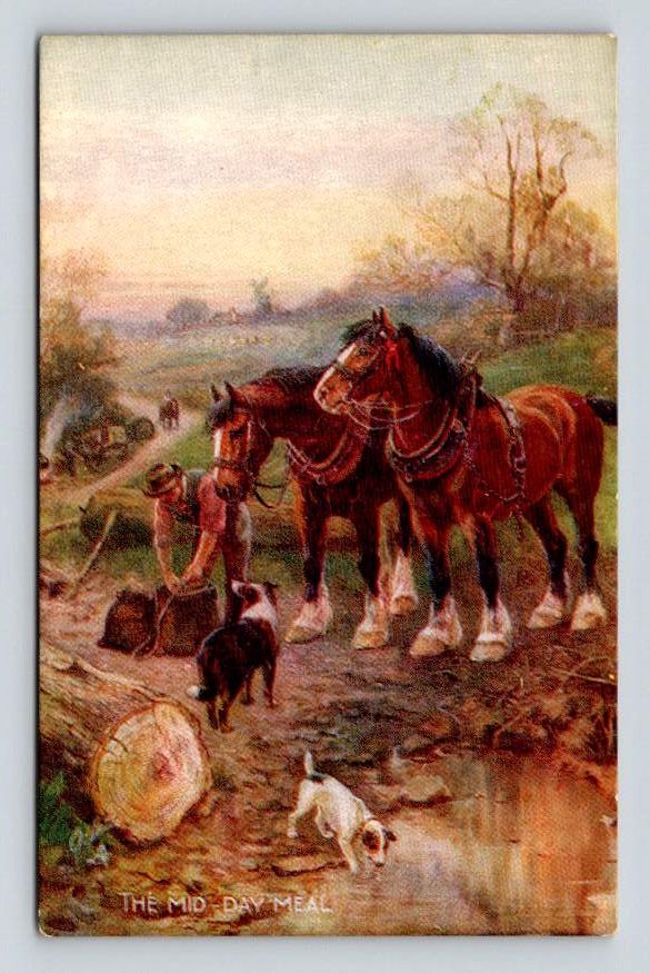 Tuck Oilette The Mid Day Meal N. Drummond Postcard (eL005)