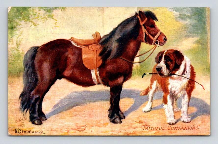 Tuck Oilette Faithful Companions N. Drummond 1909 Postcard (eL007)