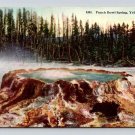 Punch Bowl Spring Wyoming Yellowstone Park Postcard (eCL39)