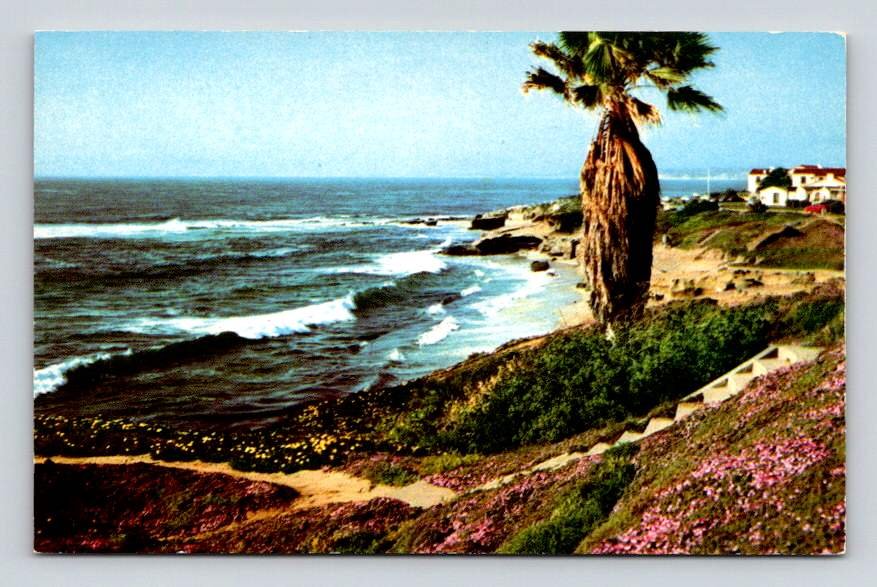 La Jolla California, Along Shore Rugged Cliffs Sandy Beaches Postcard (eCL124)