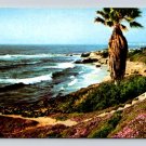 La Jolla California, Along Shore Rugged Cliffs Sandy Beaches Postcard (eCL124)