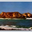 View of Seal and Bird Rock California Postcard (eCL126)