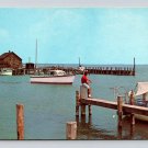 Northport Michigan Boat Dock Postcard (eCL204)