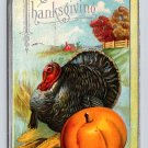 Thanksgiving Turkey & Pumkin Holiday Embossed Postcard (eCL210)