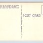 Pikes Peak Region Colorado Vista Garden of the Gods Postcard (eCL252)