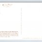 Dewey Beach Delaware Large Letter Hello Postcard (eCL268)